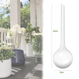 Maven Gifts Plant Watering Globes 4 Pack - Ø 5cm Aqua Bulbs | Automatic Drip Irrigation | Holiday Plant Care System