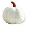 Maxpetus 3D Simulated Pumpkin Pillow Plush Pillow Sofa Cushion (11inch,
