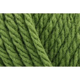 Sirdar Hayfield Bonus Chunky Crochet Yarn, 100% Acrylic Soft Knitting Wool for Sweaters, Cardigans, Jumpers, Ponchos and Capes - 100g Ball - Fern Green (603) - Single (1 Ball)