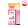 Burt's Bees Tinted Lip Balm Pink Blossom 4.25g / 버츠비 틴티드 립밤 핑크블라썸 4.25g