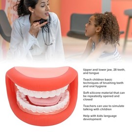 ZJchao Marioneta de Boca, Modelo de Lengua y Dientes Herramientas Educativas para Niños y Niñas Remedio del Habla Modelo de Dientes de Demostración del Habla de Silicona