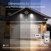 ALUSSO LIGHTING 25W LED Security Light Remote Control 2000lm, 3000K-6500K