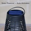 PIC Portable Solar Insect Killer Torch (FLPT), Bug Zapper and