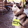 Dog Reactive Alert Hanging Patch Caution Stop Dog Alert Hanging