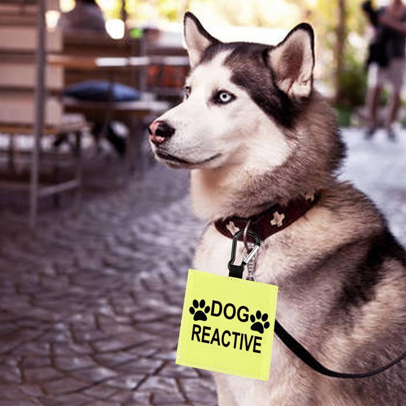 Dog Reactive Alert Hanging Patch Caution Stop Dog Alert Hanging