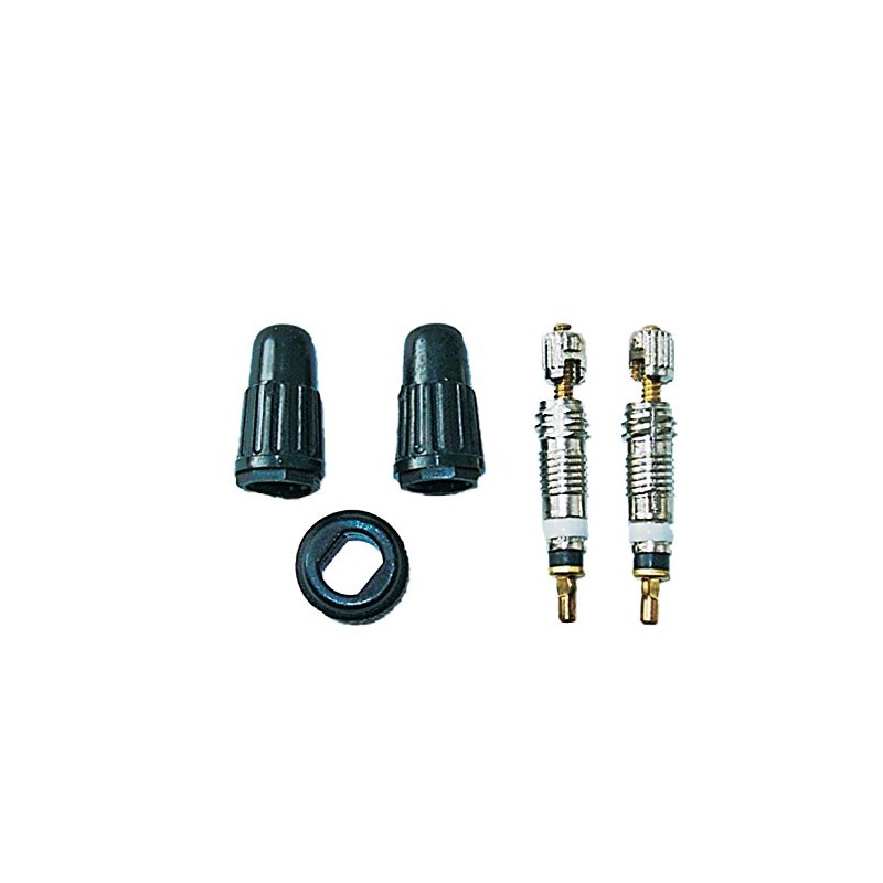 Weldtite Valve Core and Caps Kit (for Presta Valves) -