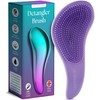 Lily England Detangler Brush (Ombre)