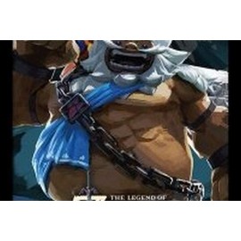 Pyramid International The Legend of Zelda: Breath Of The Wild (Divine Beast Vah Rudani Framed Print Memorabilia, Multi-Colour, 30 x 40 x 1.3 cm