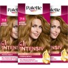 Palette Intensive Creme Colouration 7-5/546 Caramel Golden Blonde (3 x