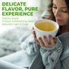 Fusion Select 100% Organic White Tea - Natural Herbal Infusion