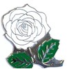 GBJUK English White Rose Enamel Pin Badge Lapel