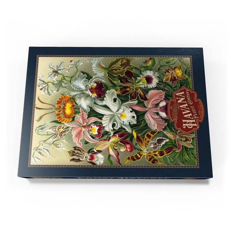 Orchid - Art Forms Of Nature, Vintage Art Poster, Ernst