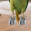 Parrot Toys,1 Pair Roller Skate Bird Toys for Parakeets -