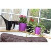 Whitefurze G0616SQ 16cm Square Indoor Pot Cover - Black