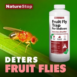 NatureStop Fruit Fly Trap for Indoors Quart