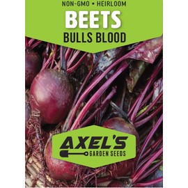 Bulls Blood Beet Seeds for Planting – Heirloom Non GMO Beet Seed Packets with Instructions to Plant & Grow Beets in Home Outdoor Vegetable Garden, Great Gardening Gift – 5 Packets