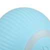 Smart Rolling Ball USB Rechargeable Quiet Relieve Boredom Interactive Cat