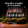 Resveratrol con Té Verde y Niacina - Actiage Cápsulas Nutrinova