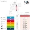 Vest Harness Air Mesh, Sky Blue, 3XS