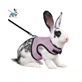 LuminaD Rabbit Harness Leash Strap for Small Animals Option1 L/Option2 Pink