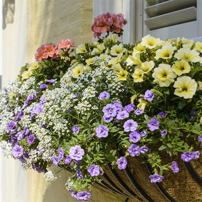 HICAS Wall Mounted Coco Liner - 24/30/36/48 Inch Wall Planter
