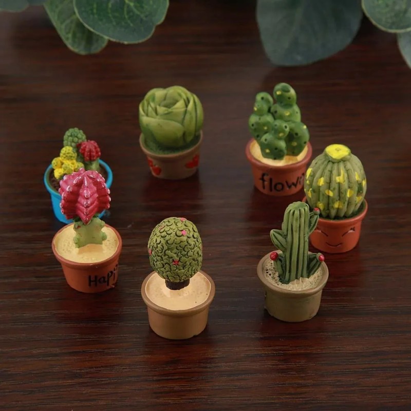 L 7pcs Pequeño Cactus Miniatura Suculentas Plantas Decora Z