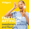 Vegan High Strength Turmeric Gummies with Ginger by Wellgard –