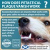 Petastical Plaque Vanish | Plaque Off Dogs, Cats | Banish
