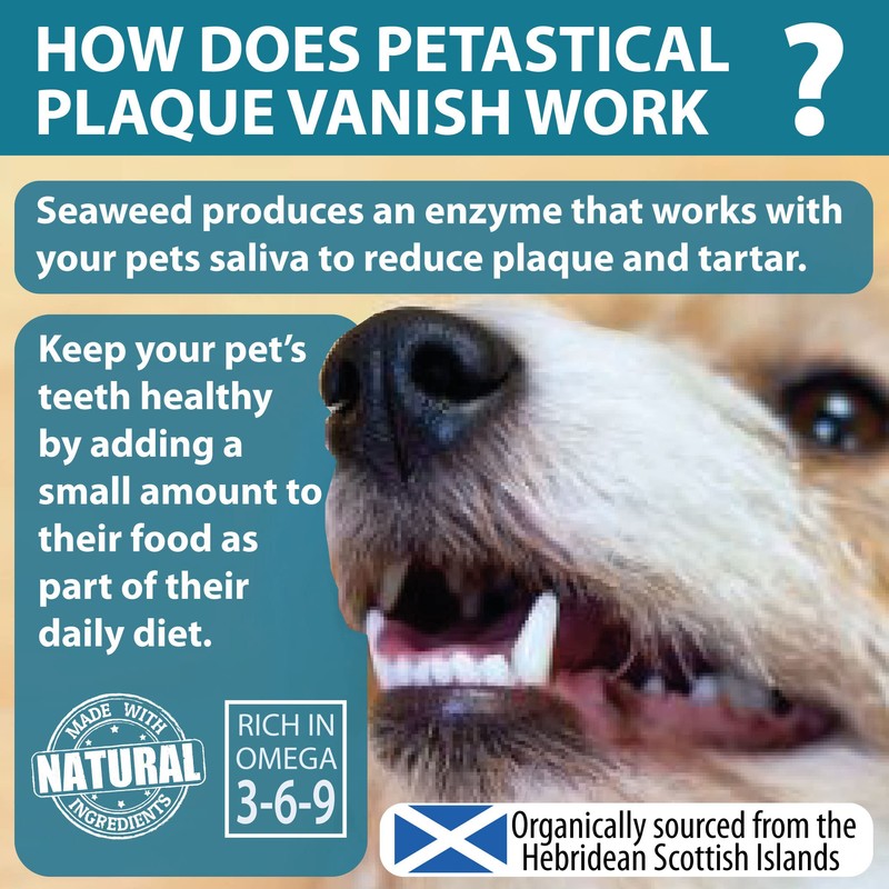 Petastical Plaque Vanish | Plaque Off Dogs, Cats | Banish