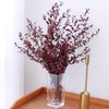 Natural Dried Preserved Willow Eucalyptus, Real Plant, for Wedding, Home