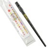Clarke Sweetone Tinwhistle in D - BLACK - with Clear
