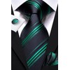 Hi-Tie Men's 63 Inches Extra Long Tie and Silk Pocket