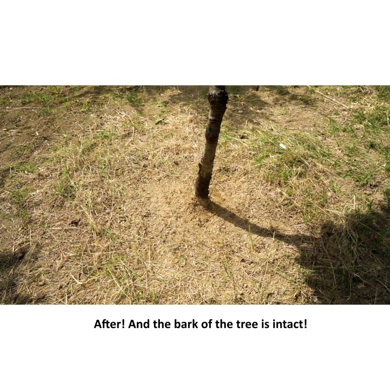 Weed Root Removal Head Tiller – Trimmer Attachment - Root