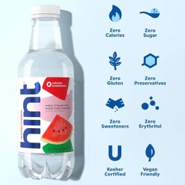 Hint Fruit-Infused Bottled Water Sugar-Free Pack of 12
