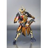 S.H. Figuarts Kamen Rider Armor Kachidoki Arms