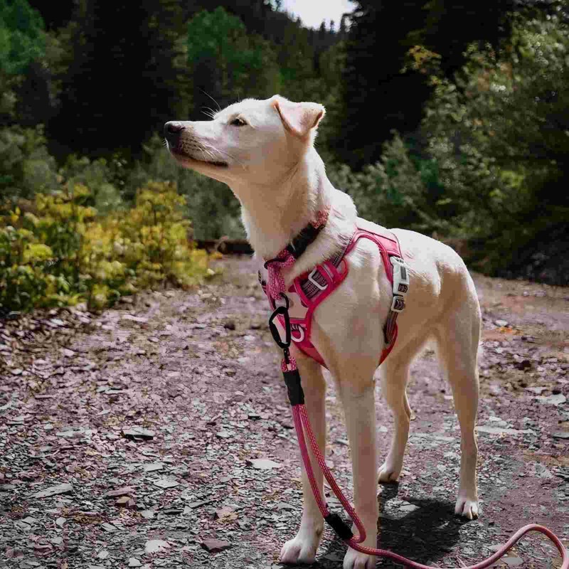 AUROTH Tactical Dog Harness for Small Medium Large Dogs No