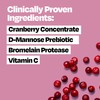 Cystex Urinary Tract Infection Support & Prevention, Cranberry Prebiotic Supplement