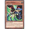 YuGiOh : DPBC-EN026 1st Ed Insect Queen Common Card - ( Battle City Duelist ) by Deckboosters