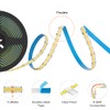 BTF-LIGHTING FCOB COB LED Strip CCT Flexible High Density 16.4FT