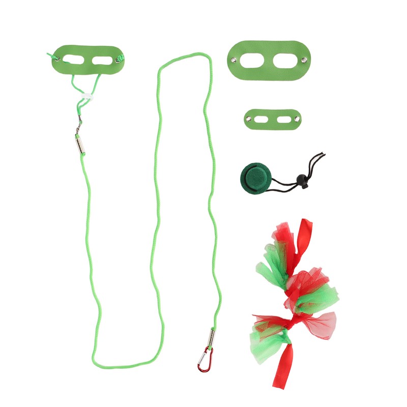 Reptile Pet Leash Kit Christmas Reptile Harness with Skirts Hat