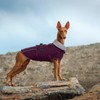 Lelepet Warm Dog Coat Waterproof Dog Jacket for Large Dogs