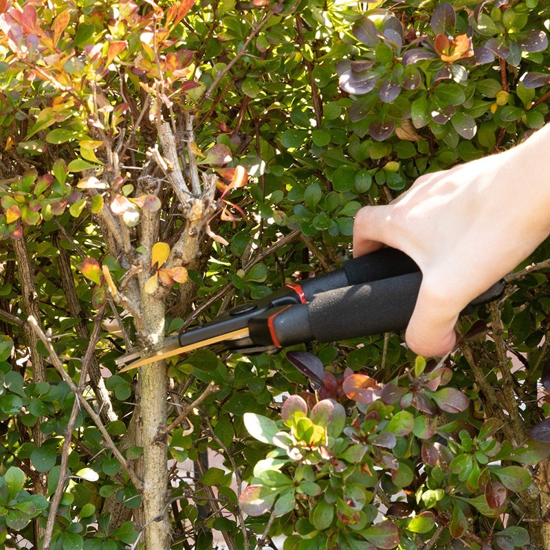 SEEYC Professional 8 inches Premium Titanium Bypass Pruning Shears, Premium