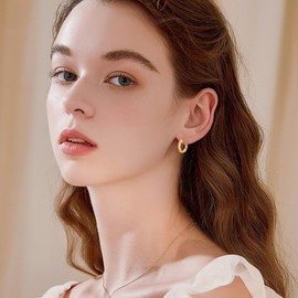 Earrings 925 Silver Hoop Earrings Women's Chunky Earrings Hypoallergenic Hoops Earrings Hoop Earrings, Silver