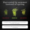 DoMatcha Organic Ceremonial Green Tea Matcha Powder - 75 Servings