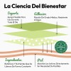Verdora Parches Aromáticos De Lavanda Uso Diario 18 Piezas
