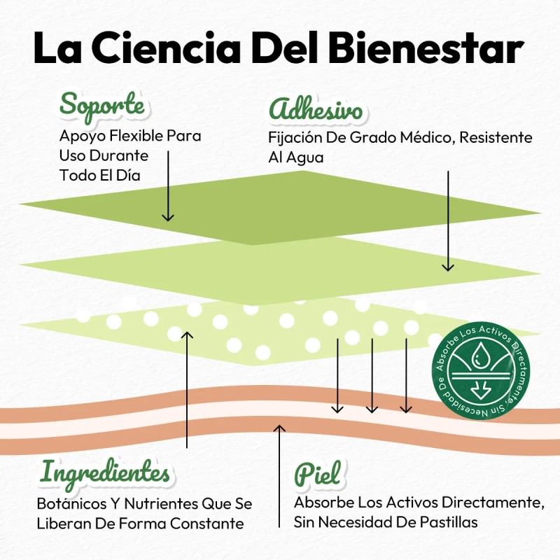 Verdora Parches Aromáticos De Lavanda Uso Diario 18 Piezas