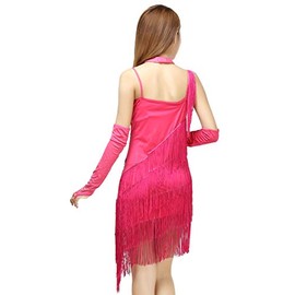 Grouptap Latin fringe pink tassel sequin dance skirt sling competition dress wear for women salsa tango samba cha cha rumba (Pink, UK 8-14 Elastic Fit)