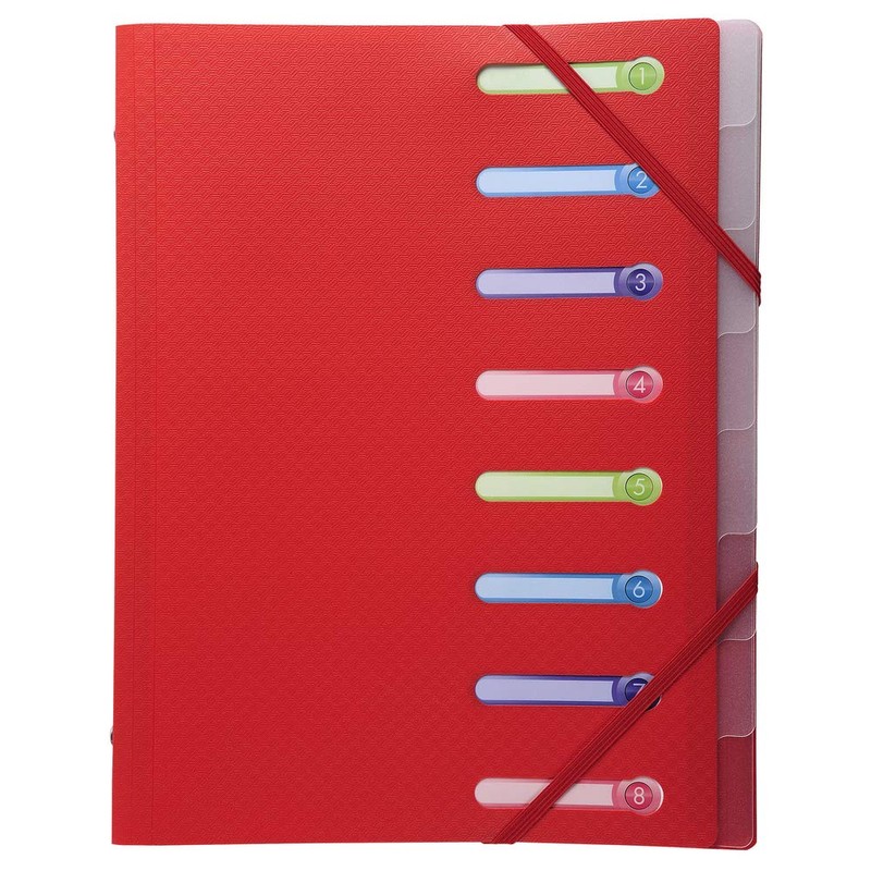Exacompta 56180E Premium Folder Opaque Made of Sturdy Plastic DIN