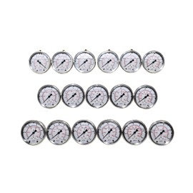 XZT 2.5" Analog Hydraulic Pressure Gauge,Pressure Manometer, Vacuum Pressure Gauge with 1/4 Inch NPT Connector ,Rear Entry，Back Mount (0~15PSI)