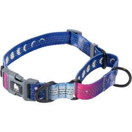 Leashboss Martingale Collar for Dogs | Reflective Nylon Dog Collar for Large Dogs, Medium and Small Dogs | No Pull Pet Training Collar | Quick Release Buckle, Adjustable Pet Collar